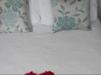 The Elmfield 3*
