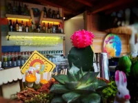 Sugar Beach Club 2*