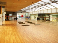 Handan Steel Hotel 3*