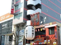 Utsunomiya Higashi Hotel 2*