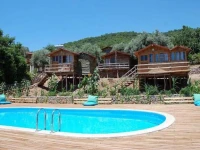 Olive Garden Kabak 