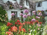Buckle Yeat Guest House 4*