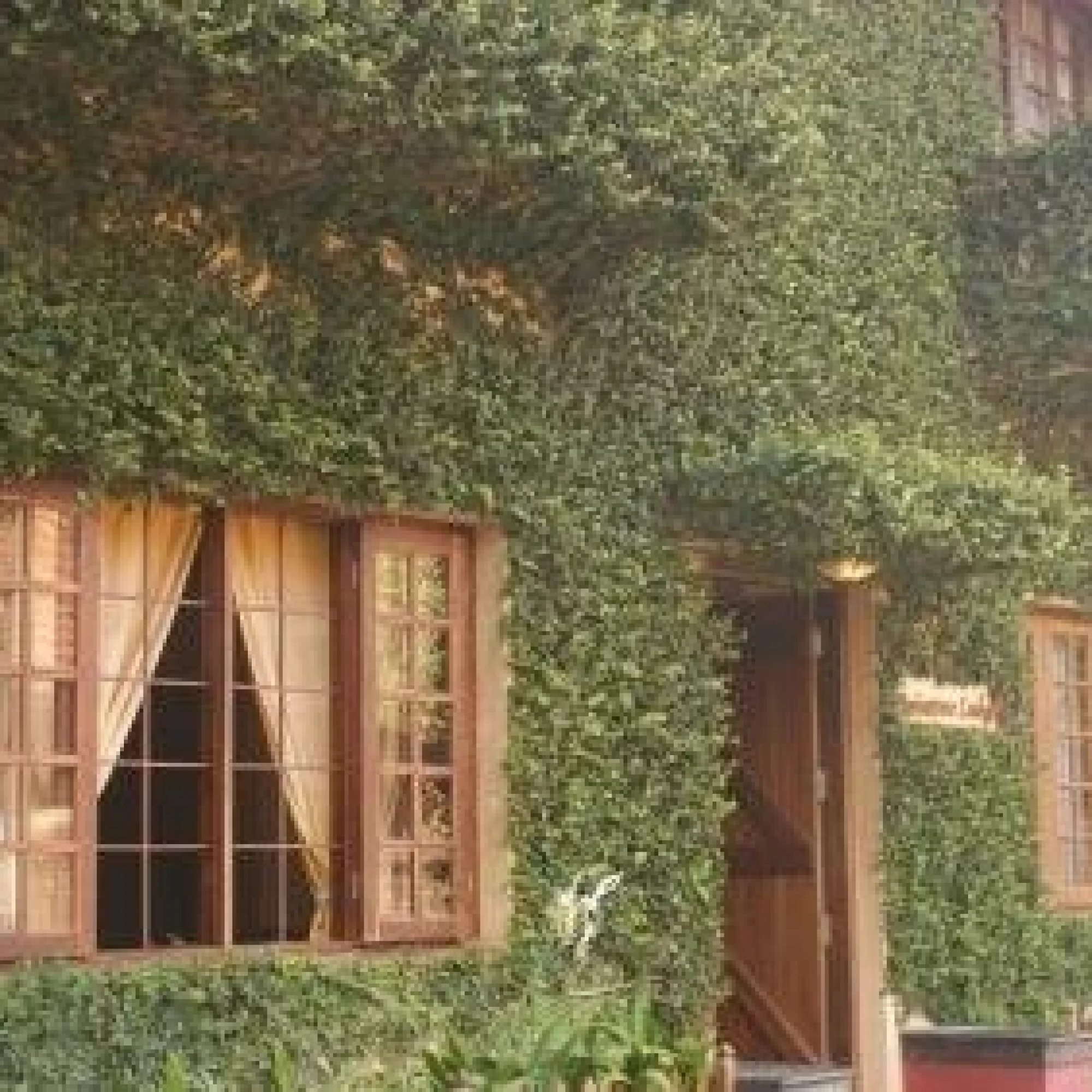 Raintree Lodge 3*