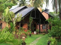 Coco Palm 