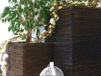Hotel Maier 2*