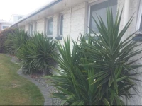 Raymar Motor Inn 3*