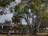 Amber Court Motor Inn 4*