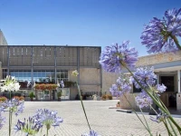 Yehuda 4*