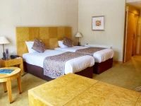 Regency Park Hotel 4*