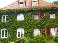 Haus Weinberg 2*