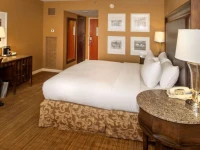 Hilton St. Louis Airport 3*