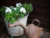 Mornington Bed and Breakfast 4*