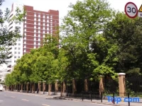 Wisdom Hotel Shanghai 5*