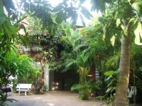 The Rose Apple 3*