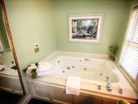 Metivier Inn 3*