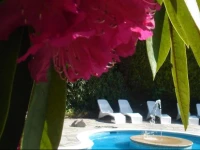 Lanteglos Country House Hotel 3*