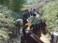 Agriturismo Masseria I Risi 3*