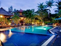 Artini Cottages 2 