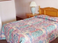 Palm Tree Inn 2*