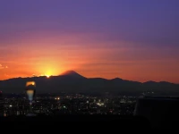 Cerulean Tower Tokyu Hotel 5*