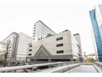 Palace Hotel Tachikawa 4*