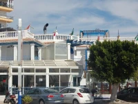 Hostal Marazul 1*