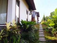 Canggu Breeze 3*