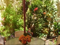 Hostal Poloni 1*