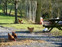 Burton Farmhouse 4*