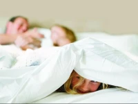 Country Inn & Suites Iron Mountain 3*