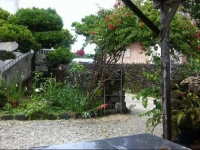 Ohamaso 2*
