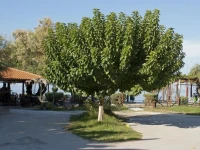 Anetis Hotel 2*