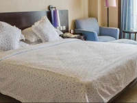 South China International Hotel 5*