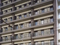 Palace Japan Hotel 1*