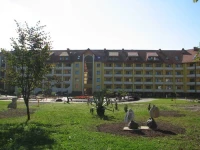 Kvitka Polonyny / Квiтка Полонини 