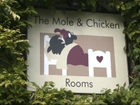 The Mole and Chicken 4*