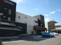 J Hotel Rinku 3*