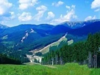 Pikuy LOK / Пікуй ЛОК 