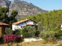 Begonvil Suites 2*
