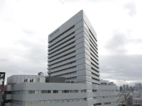 Shin Osaka Washington Hotel Plaza 3*