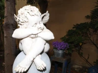 Hotel Am Ehrenhof 3*