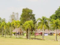 Tanaosri & Creek Side Resort 3*