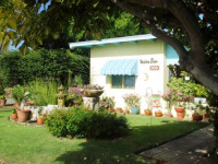Hidden Eden Aruba Bed and Breakfast