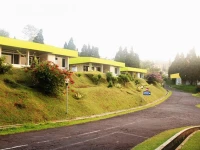Amanda Hills 2*