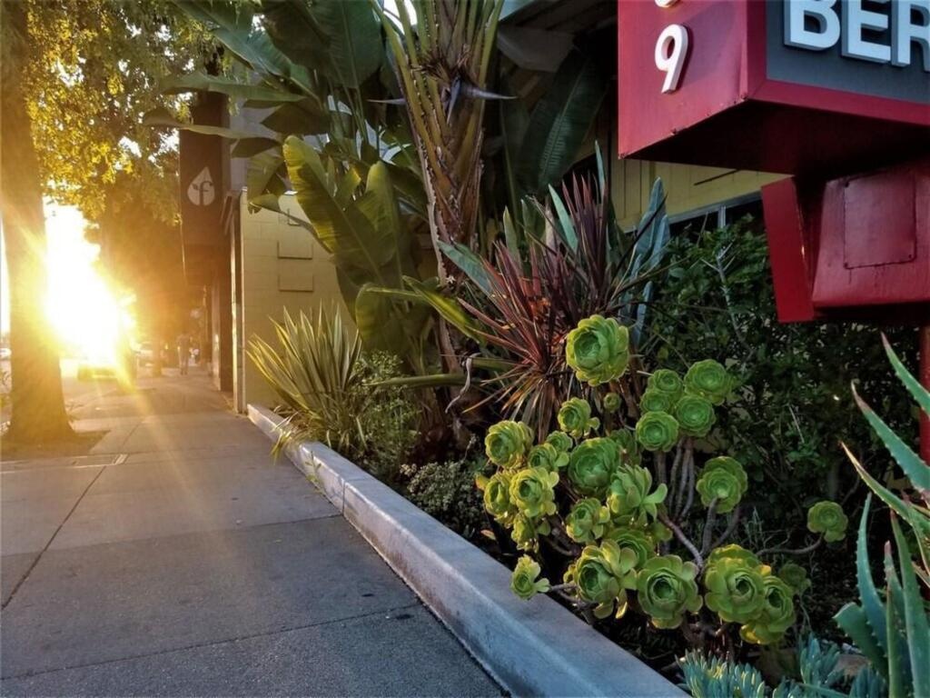 Palo Alto Lodge 3*