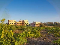 Alisaxni Resort 