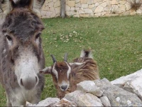 Masseria Serio 2*