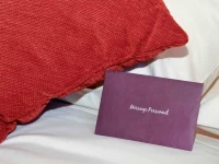 Mercure Albi Bastides 4*