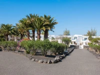 Relaxia Olivina 4*