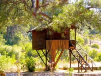 Olympos Woods  
